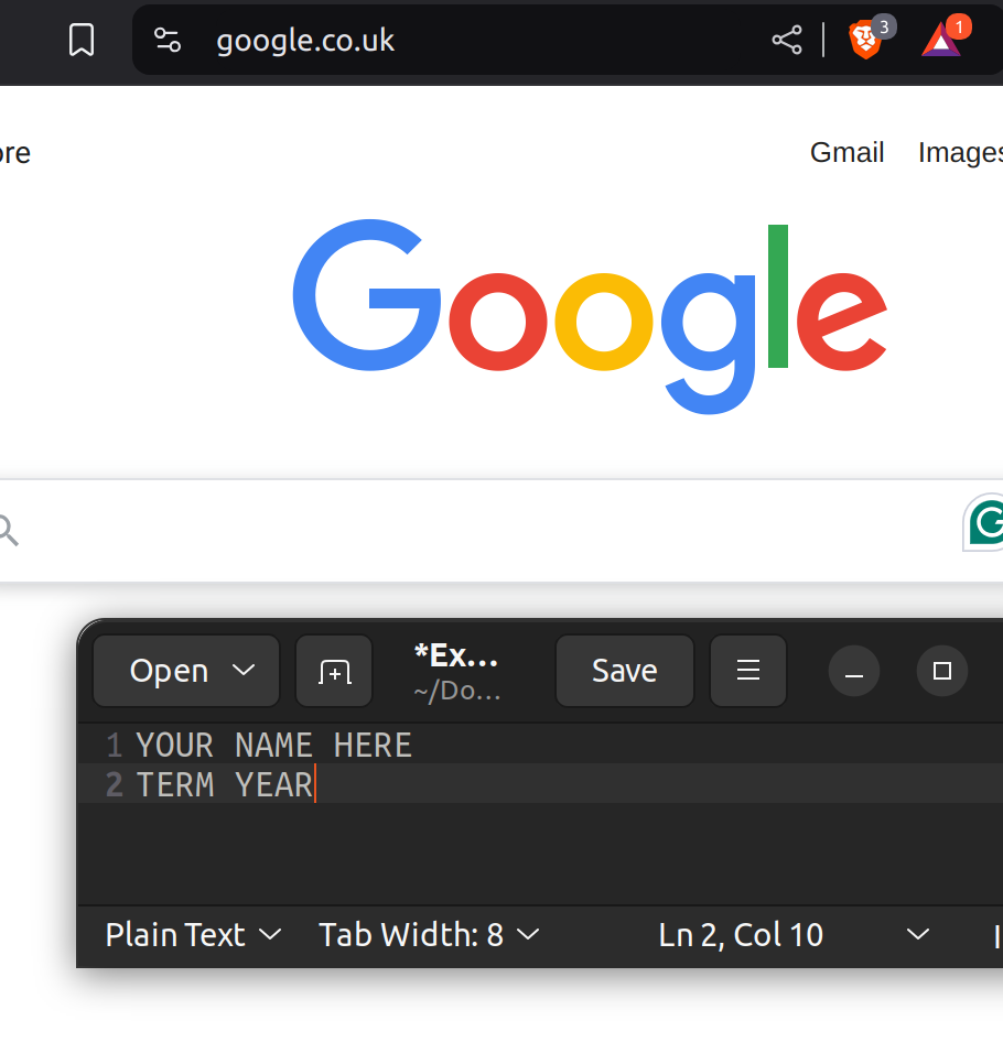 Example screenshot: a web browser showing the Google home page, with a small text editor window in front of it that says YOUR NAME HERE and TERM YEAR